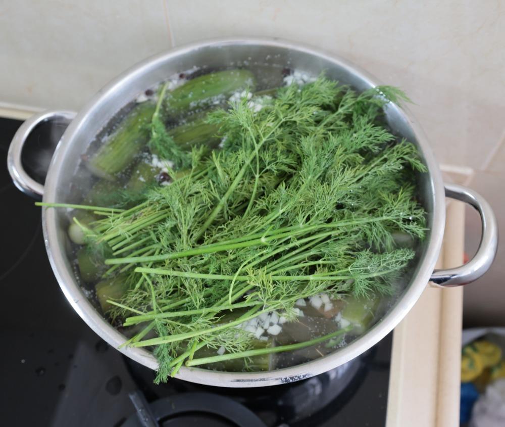 Сверху накрыть огурцы веточками укропа