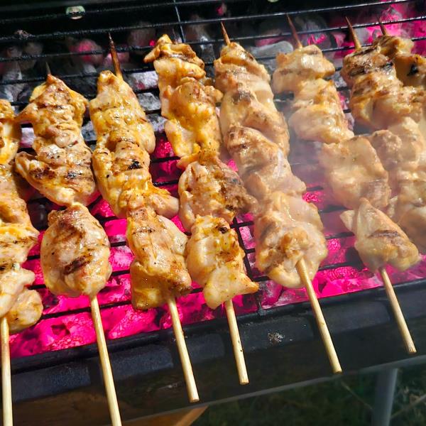 Вкусный шашлык из куриных бедрышек